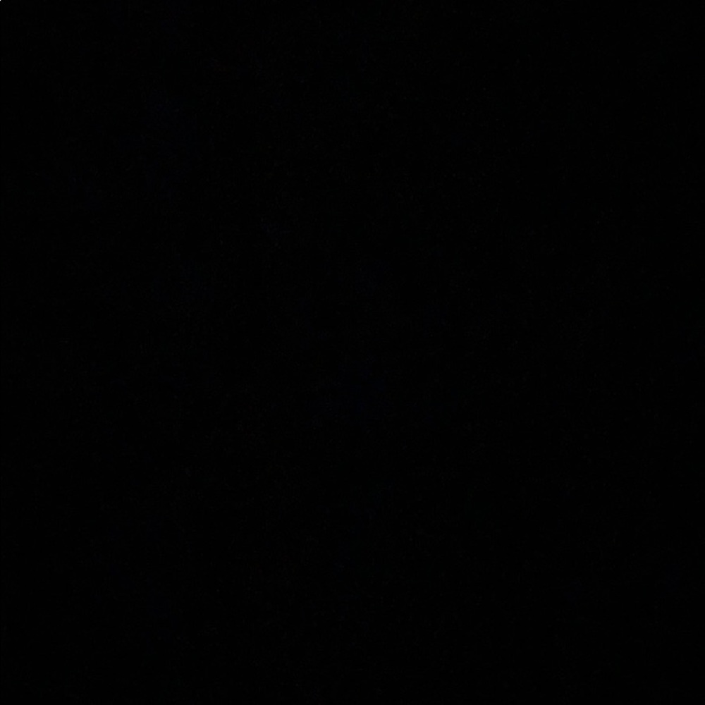 Meet your Posher, Izzy